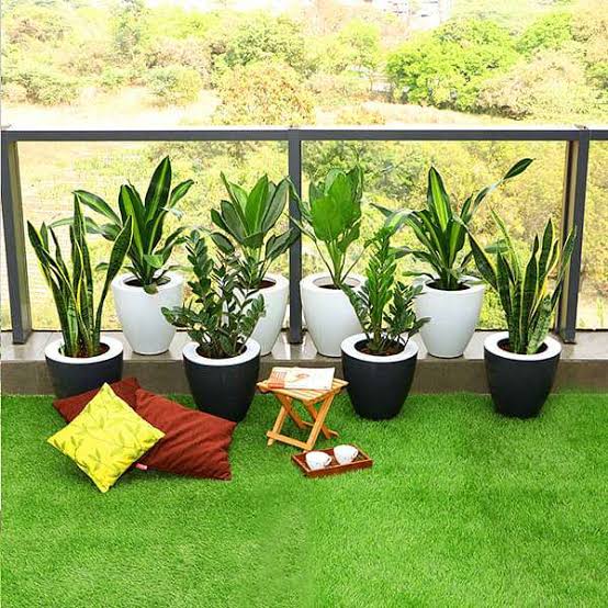 Balcony Design